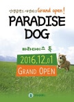 농협 안성팜랜드, 애견파크 파라다이스 독 오픈