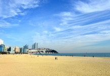 [광안리&해운대] 해운대해수욕장 모래밭 빼고 다 빼!