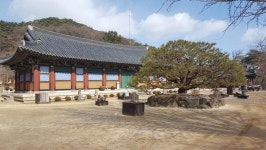 [경북 김천 여행] 느리게 걸을수록 즐거워지는 겨울 길