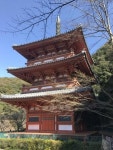 [산&길] <588> 규슈올레 18·19코스