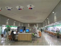 연제구청 민원실 태극기 물결 넘실