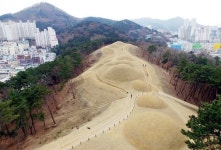 [정달식의 문화 톺아보기] ６.연산동 고분군 국가 사적 지정 이후