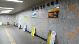부산진구 가야2동, 수정터널지하도 문화갤러리 재단장