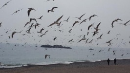 [천년 고도 경주의 힐링 로드] 봄이 오는 길에서 찾은, 마음 다스릴 길