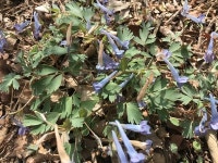 마수리 594 공터 | [산&길] 고성 시루봉