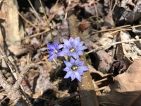 마수리 594 공터 | [산&길] 고성 시루봉