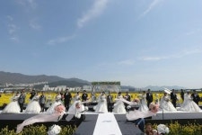 제6회 부산낙동강유채꽃축제 대저생태공원서 개최