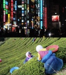 VJ특공대 불황 탈출 도쿄 장사의 신-전남 보성 남도 해양 열차 S트레인