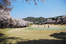 [골프장 가는 길] 통도 파인이스트 컨트리클럽