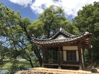 [산&길] <598> 영동 금강둘레길