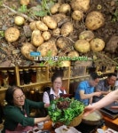 생방송 오늘 저녁 자연밥상, 내 손으로 키운 30종 넘는 산야초 보약밥상