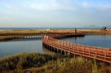 [부산 사하구] 파란 바다가 선사한 여유