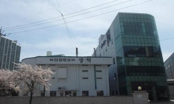 [부산합동양조] 유산균이 살아있다 생탁 대히트… 일본·홍콩·동남아서 러브콜