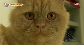 동물농장 위너하우스 최고의 반전녀 죠니…송민호, 오뜨에게 사과