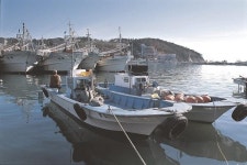 [부산·울산 어촌체험마을2곳] 어촌체험마을서 이색 재미 낚아 보자