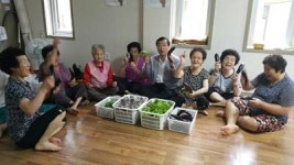 해운대 청소년들, 옥상텃밭 채소 경로당 나눔