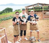 돌아온 삼시세끼 어촌편 이번엔 낚시 대신 목장 운영