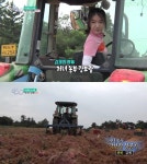 6시 내고향 시시콜콜 소식통, 전북 김제 처녀농부 강보람고구마 성공기