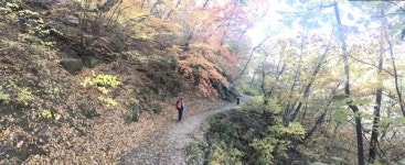 [산&길]  김천 인현왕후길