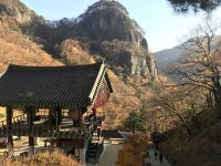 [경북 봉화] 백두대간에서, 가을과 만나고 헤어지고