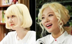 목요웹툰 연애혁명 업데이트… 232작가와 볼빨간사춘기 안지영, 놀라운 싱크로율
