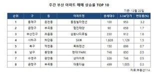 주간 아파트 상승률 TOP 10 (12/22)