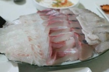 KNN 생방송투데이서 방영된 부산 사직동 맛집 삼천포횟집