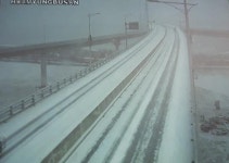 [포토뉴스] 여기저기 하얀 부산, 눈 오는 풍경