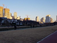 [정달식의 문화 톺아보기] 24. 양지 빼앗긴 온천천