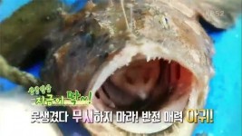 2TV 생생정보 생생밥상 지금이 딱! 아귀수육 아귀내장매운탕 아귀불고기 건아귀찜 맛집은?