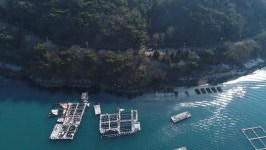 박경리·윤이상…  명소·기념관 즐비