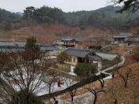 [안동 도산면 일대] 도산서원에 봄볕 내리면 정원 가득 매화꽃 피려나