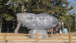 [노래비로 읽는 대중음악] 가수 손인호 해운대 엘레지