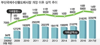 부산국제수산물도매시장 물량 90%가 명태·오징어