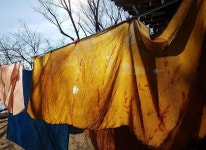 [천연 염색] 자연이 들인 은은한 색… 시간이 만든 건강한 옷감