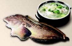 [밀물썰물] 남해 물메기