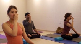 [내 마음과 몸] 6. 하타요가