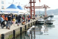 기장군,  제9회 기장 미역ㆍ다시마 축제  오는 4월 개최