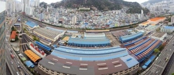 철도차량정비단 신항 이전 정부 예산으로 추진