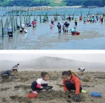 해수부, 봄 여행주간 어촌체험마을 20선 추천
