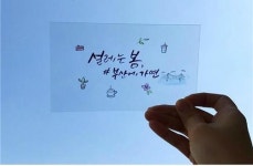 설레는 올 봄 부산에 가면