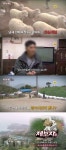 제보자들 남해, 두 양떼목장은 왜 원수지간 됐나?… 풀리지 않는 갈등의 원인은?