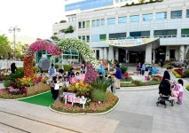 부산진구, 구청광장에 봄 동산 조성