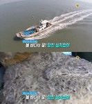 생방송 오늘 저녁 짠내 나는 바다인생, 당진 실치잡이…장고항 민영이네 횟집