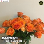 로즈데이, 색깔별 꽃말은?…의미도 각양각색