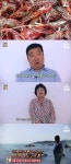서민갑부 독도 새우로 연 매출 25억 원… 통발 속 특별한 미끼의 놀라운 비밀