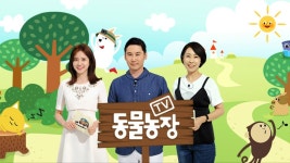 동물농장 스페셜MC는 딘딘…견생사 새옹지마 업둥이, 썬 스킨크 도마뱀 도미, 위기의 너구리