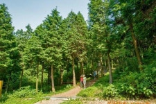 고성 갈모봉, 산림청 자연휴양림 지정