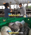 생방송 오늘 저녁 시골부자, 황금알 낳은 타조의 비밀…정읍 행복한 타조 농장