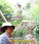 생방송 오늘 저녁 별별열전, 효소가족의 귀농일기…경북 고령 담촌 장마을